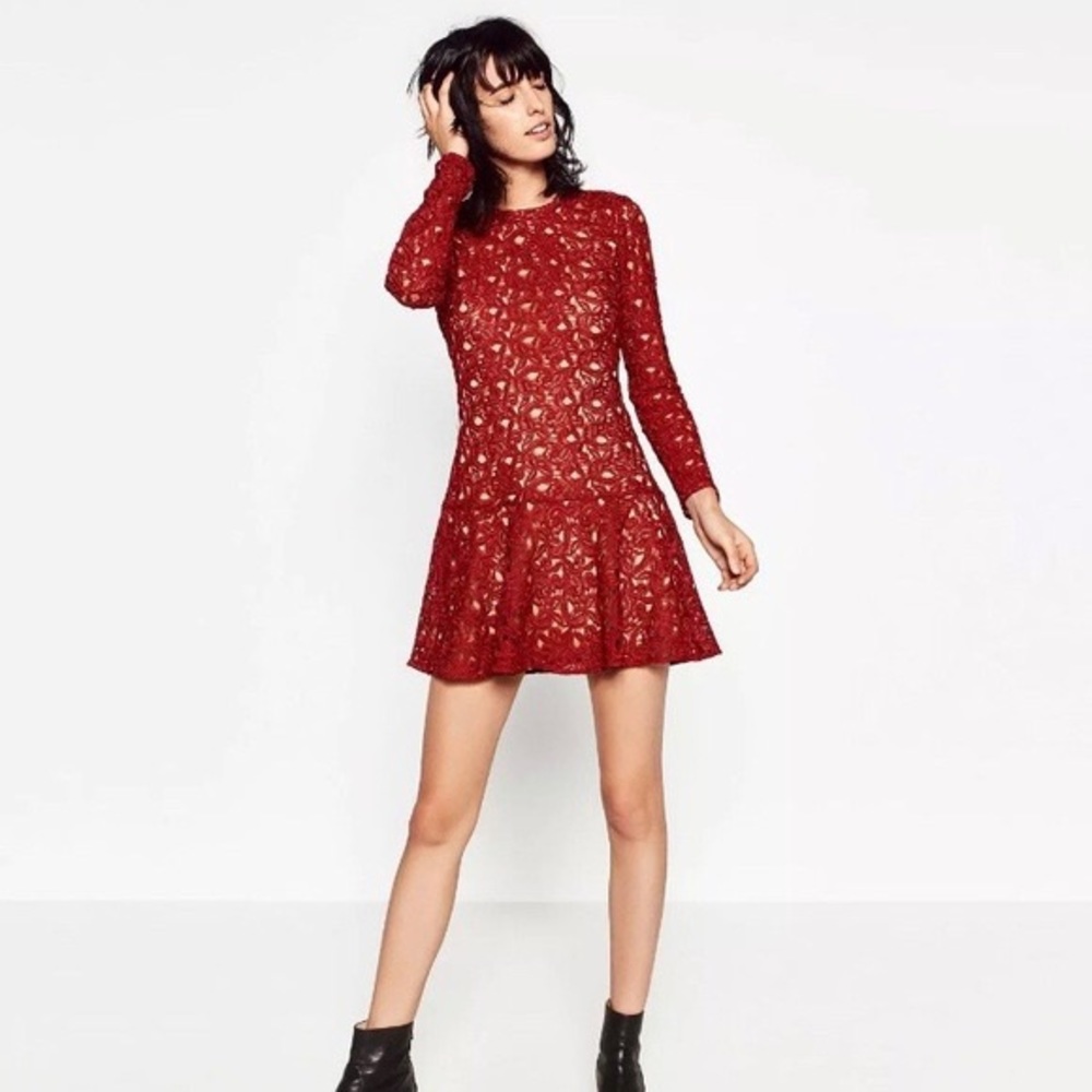 Zara Lace Long Sleeve Mini Dress XS